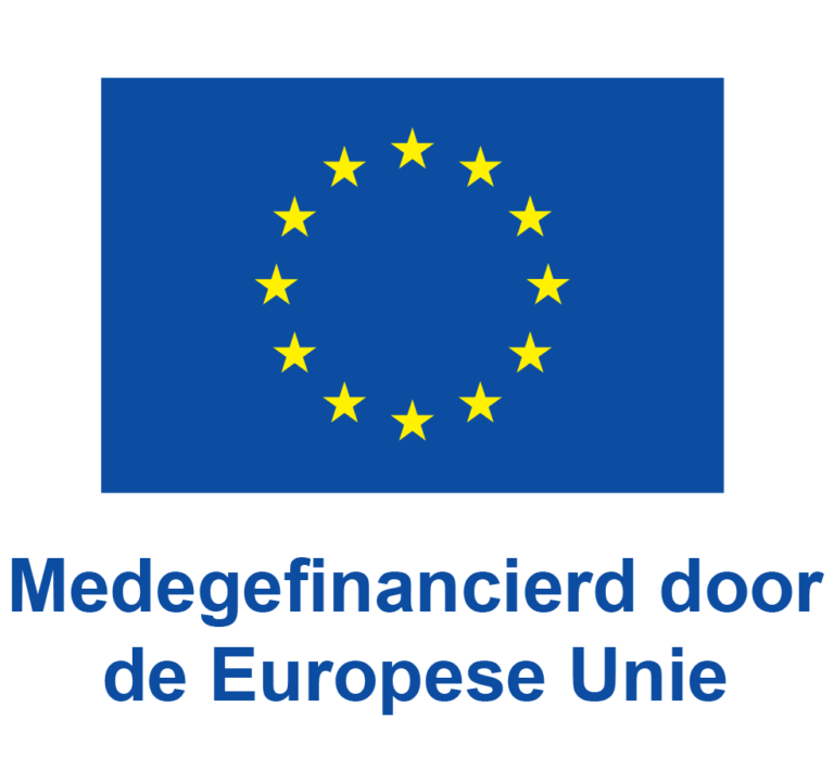 NL-V-Medegefinancierd-door-de-Europese-Unie_POS